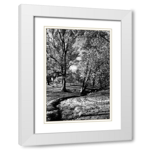 A Small Creek White Modern Wood Framed Art Print with Double Matting by Hausenflock, Alan