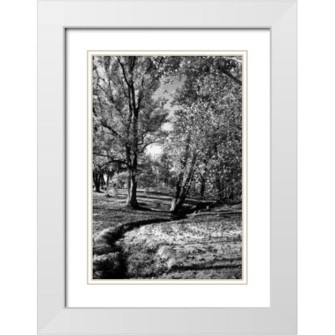 A Small Creek White Modern Wood Framed Art Print with Double Matting by Hausenflock, Alan