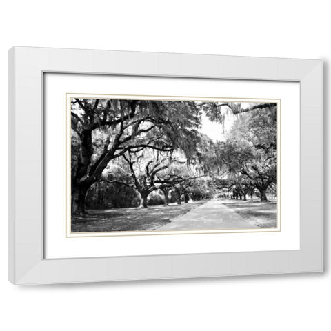 Charleston Oaks I0 White Modern Wood Framed Art Print with Double Matting by Hausenflock, Alan