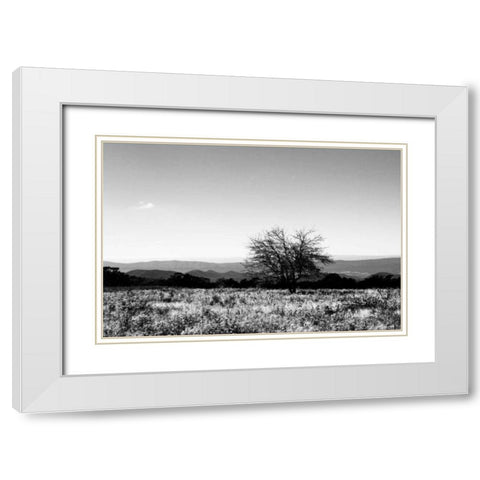 Big Meadow III White Modern Wood Framed Art Print with Double Matting by Hausenflock, Alan