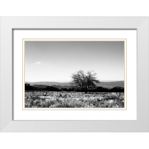 Big Meadow III White Modern Wood Framed Art Print with Double Matting by Hausenflock, Alan