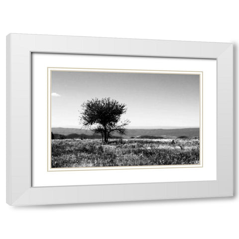 Big Meadow IV White Modern Wood Framed Art Print with Double Matting by Hausenflock, Alan