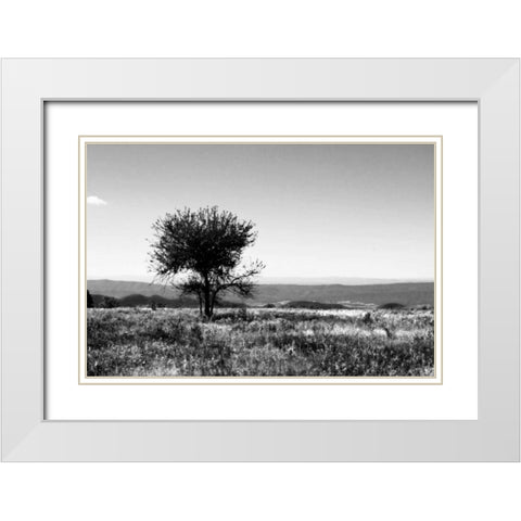 Big Meadow IV White Modern Wood Framed Art Print with Double Matting by Hausenflock, Alan