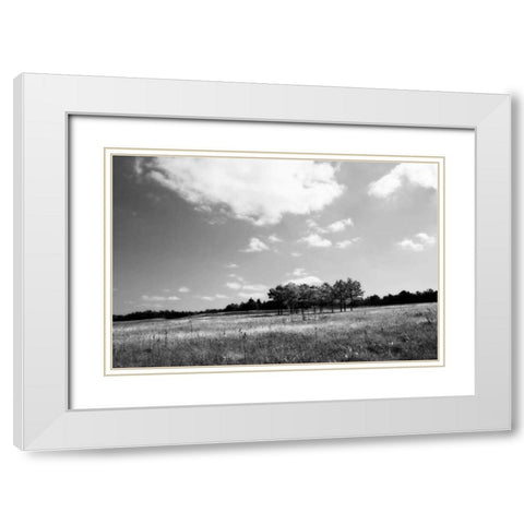 Tree Line I White Modern Wood Framed Art Print with Double Matting by Hausenflock, Alan
