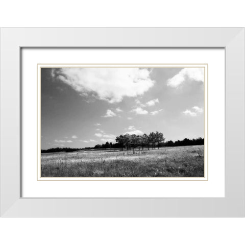 Tree Line I White Modern Wood Framed Art Print with Double Matting by Hausenflock, Alan