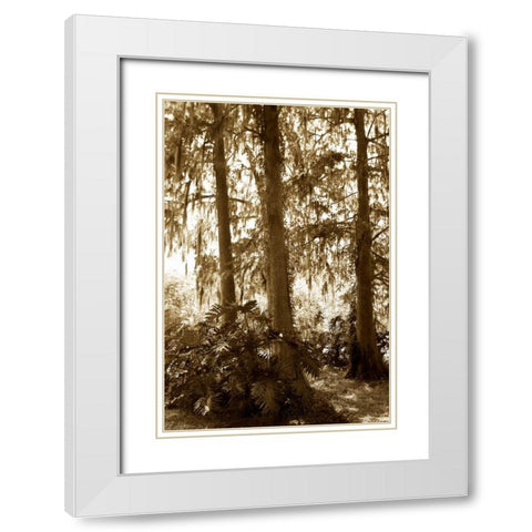 Tropical Garden I White Modern Wood Framed Art Print with Double Matting by Hausenflock, Alan