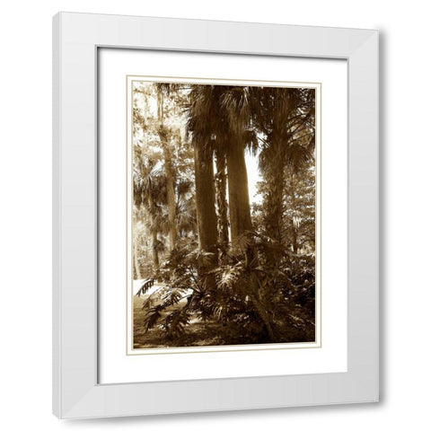 Tropical Garden II White Modern Wood Framed Art Print with Double Matting by Hausenflock, Alan