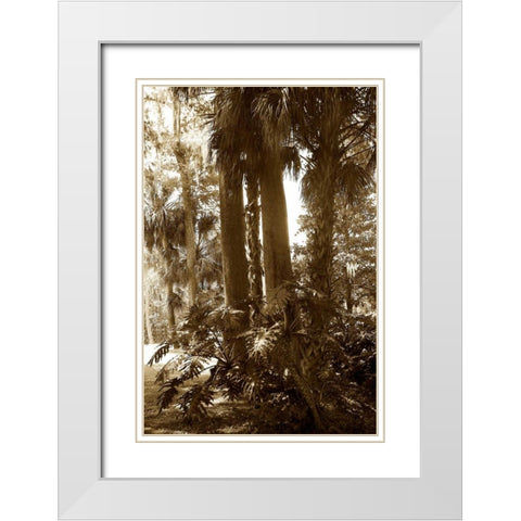 Tropical Garden II White Modern Wood Framed Art Print with Double Matting by Hausenflock, Alan