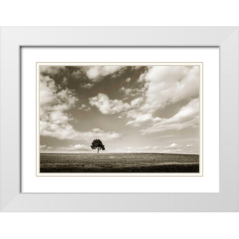 Cloudy Skies III White Modern Wood Framed Art Print with Double Matting by Hausenflock, Alan