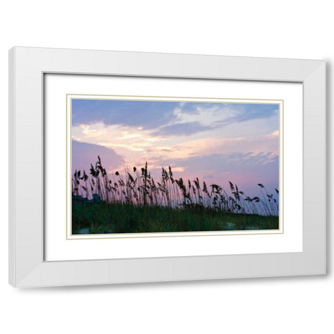 Sea Oats on Lavender I White Modern Wood Framed Art Print with Double Matting by Hausenflock, Alan