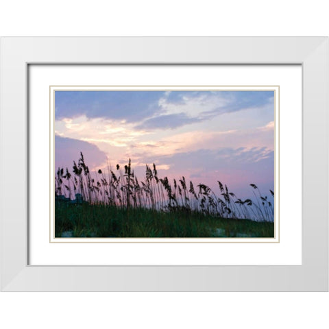 Sea Oats on Lavender I White Modern Wood Framed Art Print with Double Matting by Hausenflock, Alan