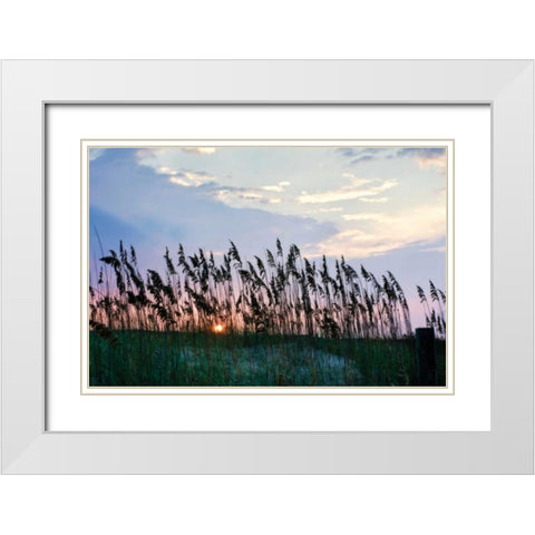 Sea Oats on Lavender II White Modern Wood Framed Art Print with Double Matting by Hausenflock, Alan