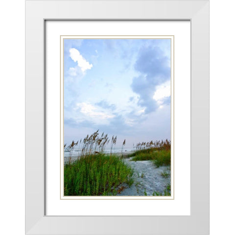 Early Morning in the Dunes V White Modern Wood Framed Art Print with Double Matting by Hausenflock, Alan