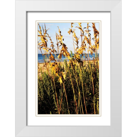 A Perfect Day III White Modern Wood Framed Art Print with Double Matting by Hausenflock, Alan