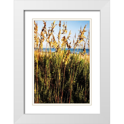 A Perfect Day IV White Modern Wood Framed Art Print with Double Matting by Hausenflock, Alan