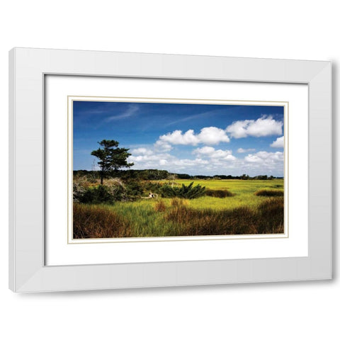 Marshland I White Modern Wood Framed Art Print with Double Matting by Hausenflock, Alan