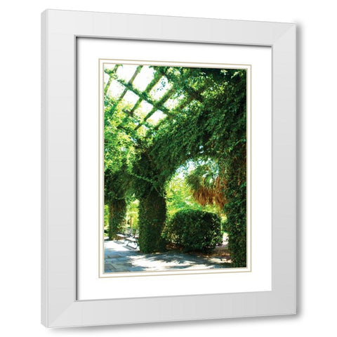 Ivy I White Modern Wood Framed Art Print with Double Matting by Hausenflock, Alan