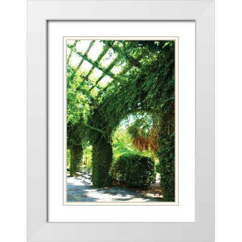 Ivy I White Modern Wood Framed Art Print with Double Matting by Hausenflock, Alan