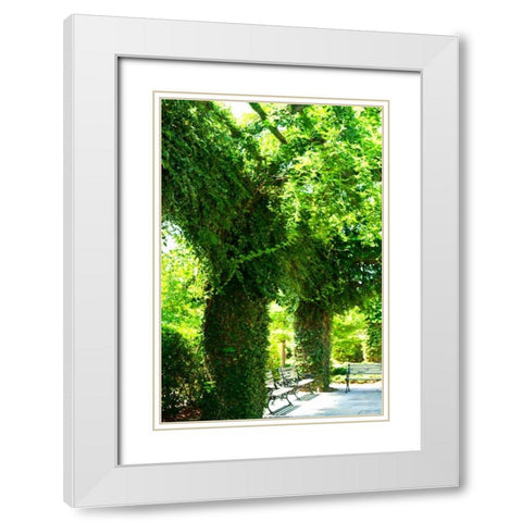 Ivy II White Modern Wood Framed Art Print with Double Matting by Hausenflock, Alan