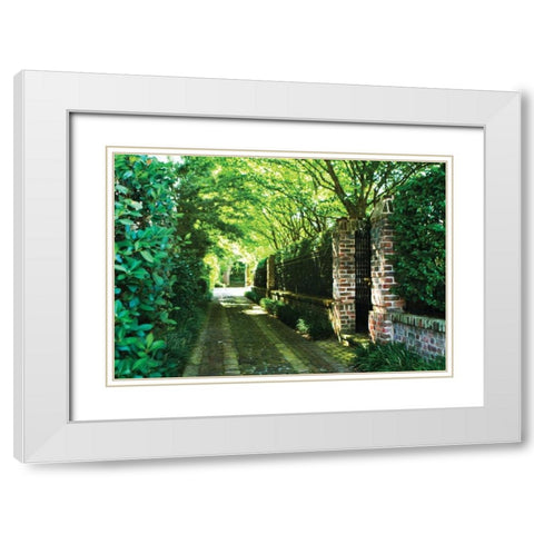 The Back Gate White Modern Wood Framed Art Print with Double Matting by Hausenflock, Alan
