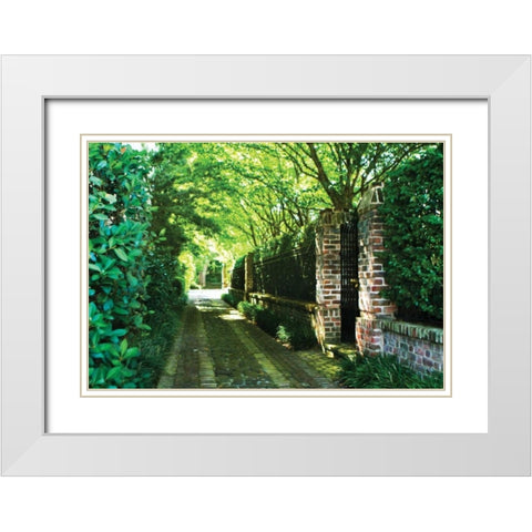 The Back Gate White Modern Wood Framed Art Print with Double Matting by Hausenflock, Alan