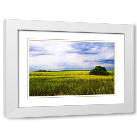 Marshland Storm II White Modern Wood Framed Art Print with Double Matting by Hausenflock, Alan