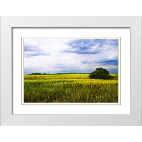 Marshland Storm II White Modern Wood Framed Art Print with Double Matting by Hausenflock, Alan