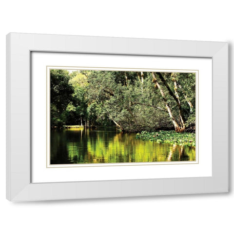 Silver River I White Modern Wood Framed Art Print with Double Matting by Hausenflock, Alan