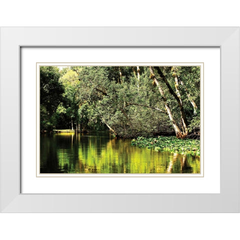 Silver River I White Modern Wood Framed Art Print with Double Matting by Hausenflock, Alan