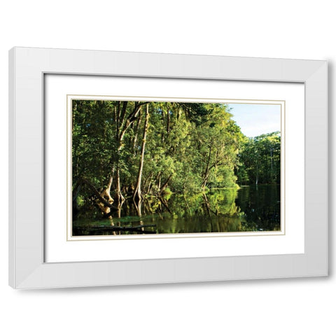 Silver River II White Modern Wood Framed Art Print with Double Matting by Hausenflock, Alan