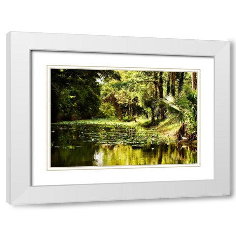Silver River III White Modern Wood Framed Art Print with Double Matting by Hausenflock, Alan
