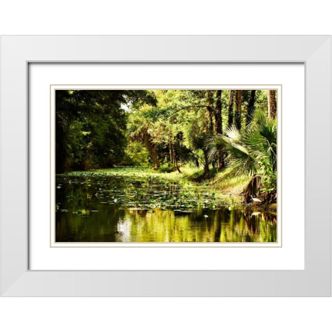 Silver River III White Modern Wood Framed Art Print with Double Matting by Hausenflock, Alan