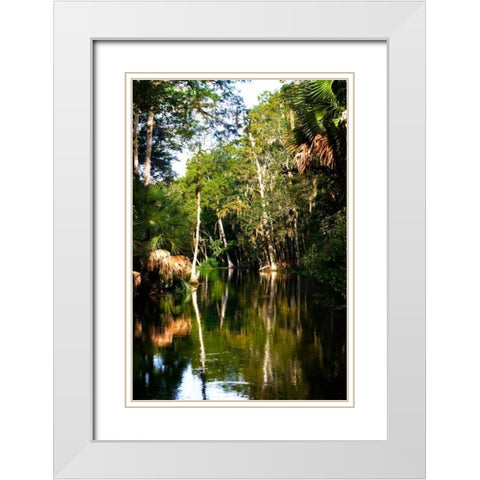 Winding River I White Modern Wood Framed Art Print with Double Matting by Hausenflock, Alan