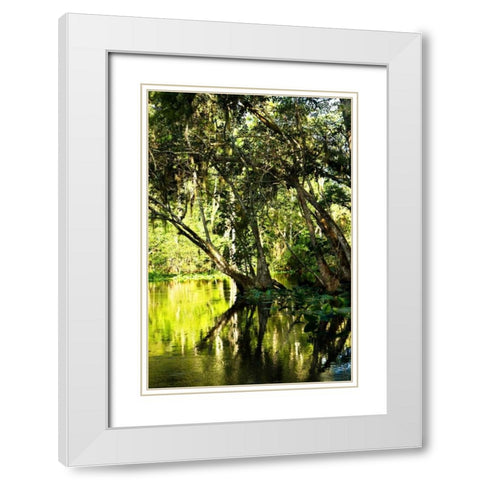 Winding River II White Modern Wood Framed Art Print with Double Matting by Hausenflock, Alan