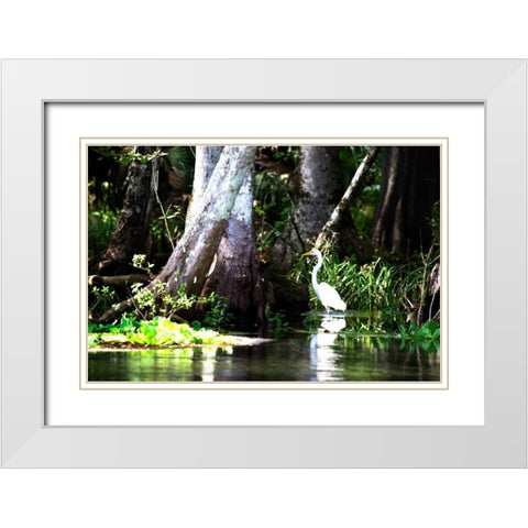 Stalking Egret White Modern Wood Framed Art Print with Double Matting by Hausenflock, Alan