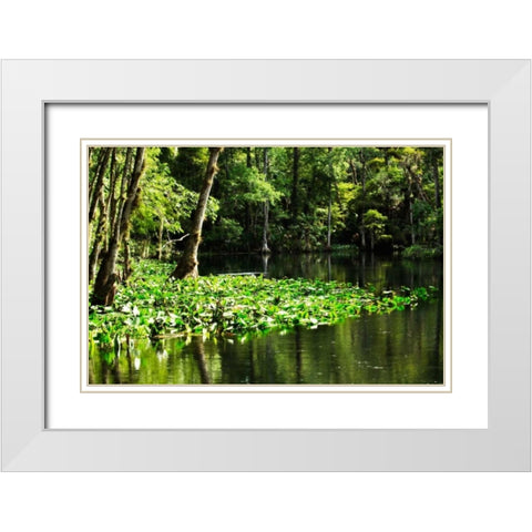 Water Lilies II White Modern Wood Framed Art Print with Double Matting by Hausenflock, Alan