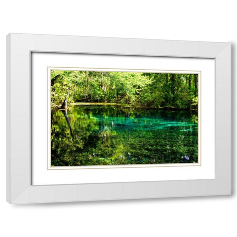 Clear Spring Waters I White Modern Wood Framed Art Print with Double Matting by Hausenflock, Alan