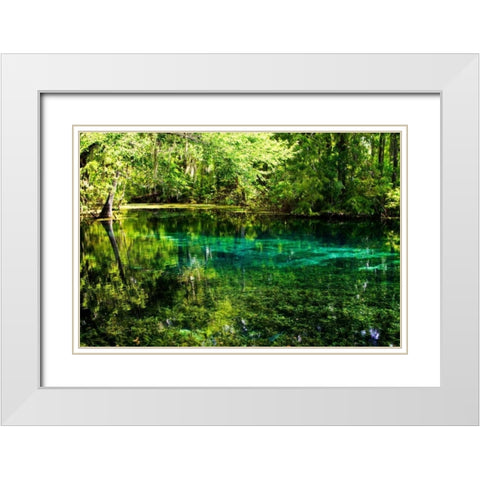 Clear Spring Waters I White Modern Wood Framed Art Print with Double Matting by Hausenflock, Alan