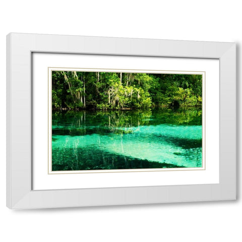 Clear Spring Waters II White Modern Wood Framed Art Print with Double Matting by Hausenflock, Alan