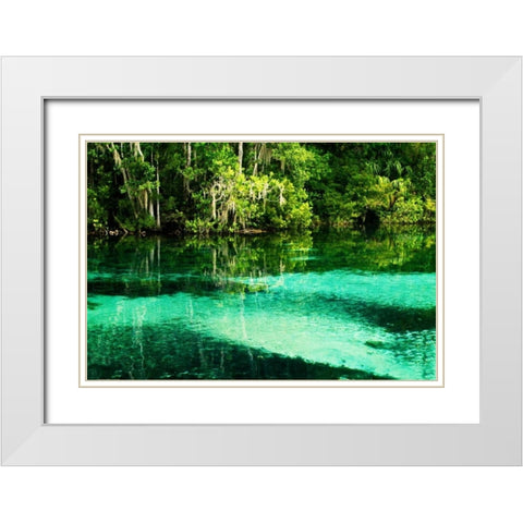 Clear Spring Waters II White Modern Wood Framed Art Print with Double Matting by Hausenflock, Alan