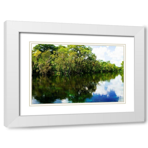 Silver River VII White Modern Wood Framed Art Print with Double Matting by Hausenflock, Alan