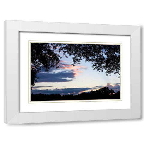 Sunset Through the Trees II White Modern Wood Framed Art Print with Double Matting by Hausenflock, Alan