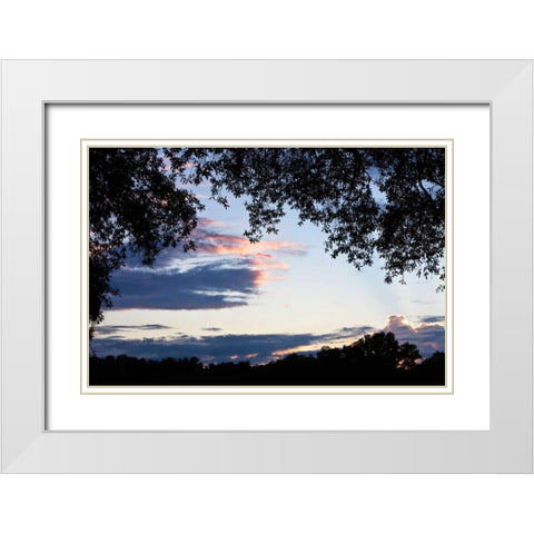 Sunset Through the Trees II White Modern Wood Framed Art Print with Double Matting by Hausenflock, Alan