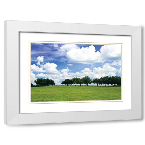 Tree Line III White Modern Wood Framed Art Print with Double Matting by Hausenflock, Alan