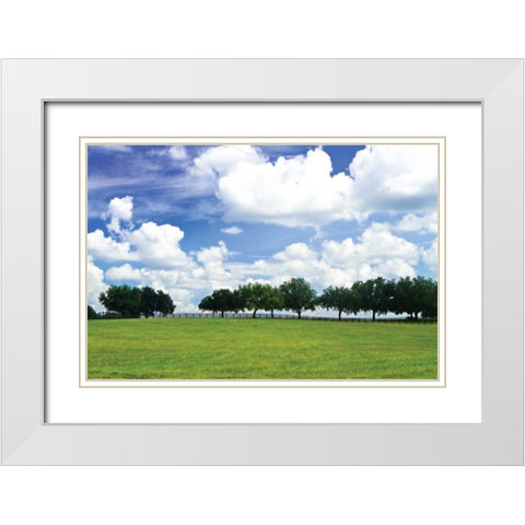 Tree Line III White Modern Wood Framed Art Print with Double Matting by Hausenflock, Alan