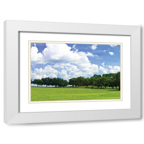 Tree Line IV White Modern Wood Framed Art Print with Double Matting by Hausenflock, Alan