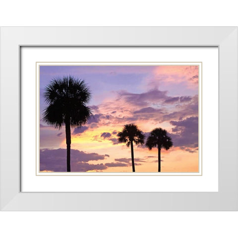 San Marcos Sunset IV White Modern Wood Framed Art Print with Double Matting by Hausenflock, Alan