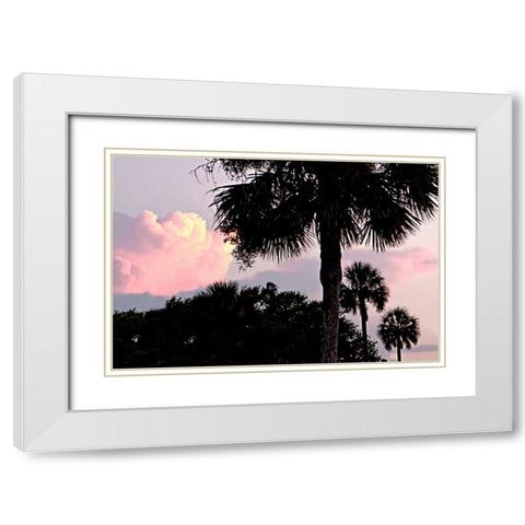Days End II White Modern Wood Framed Art Print with Double Matting by Hausenflock, Alan