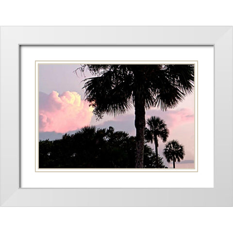 Days End II White Modern Wood Framed Art Print with Double Matting by Hausenflock, Alan