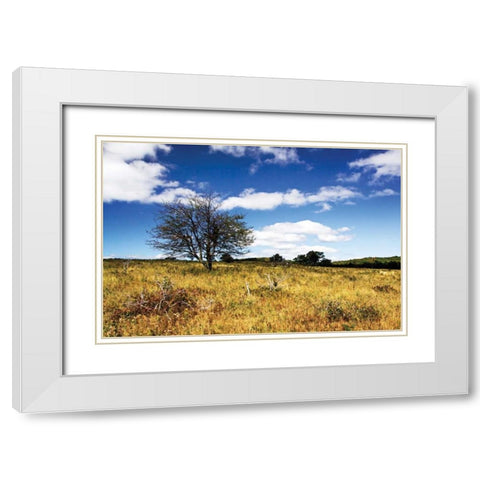 Big Meadow I White Modern Wood Framed Art Print with Double Matting by Hausenflock, Alan